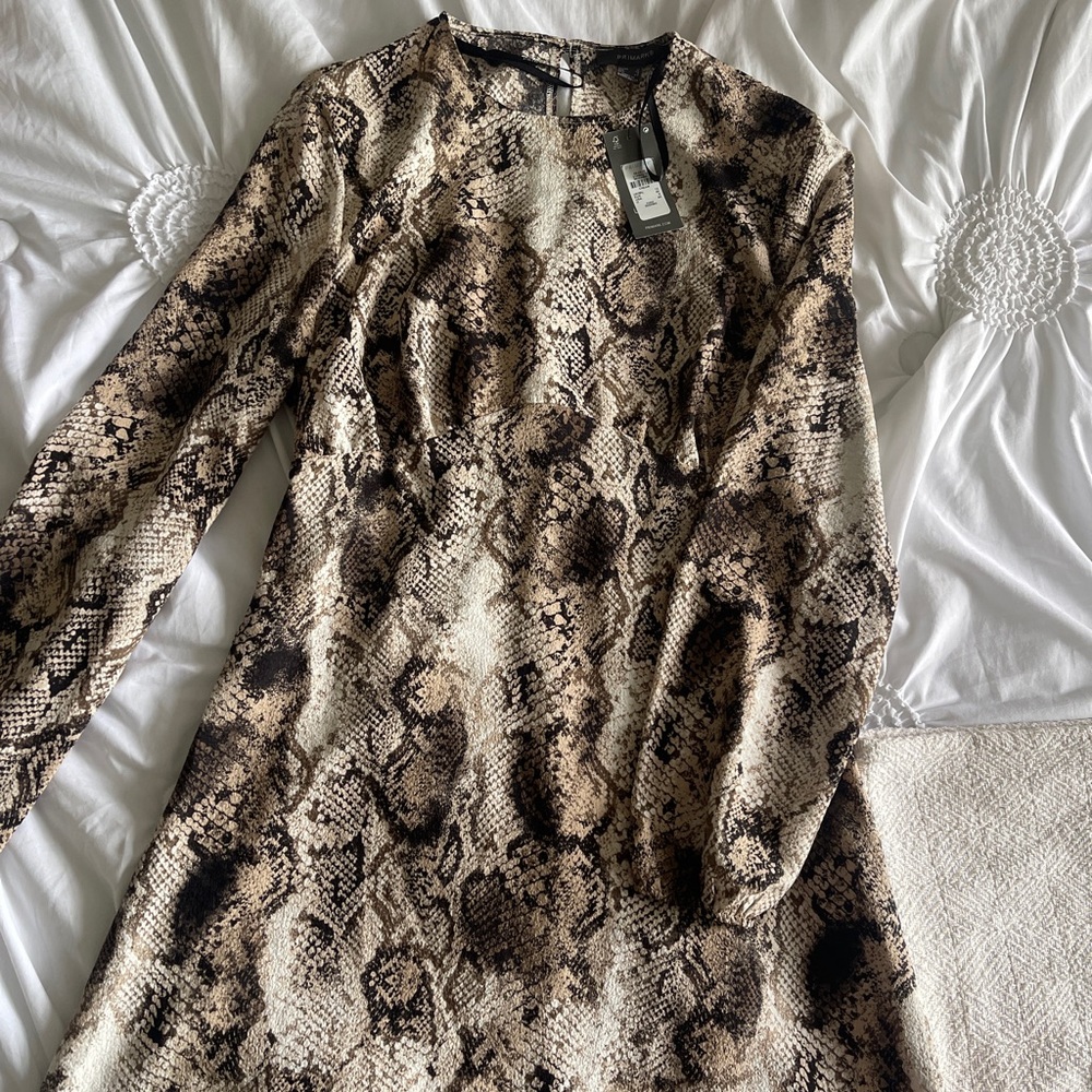 Snake print mini dress
